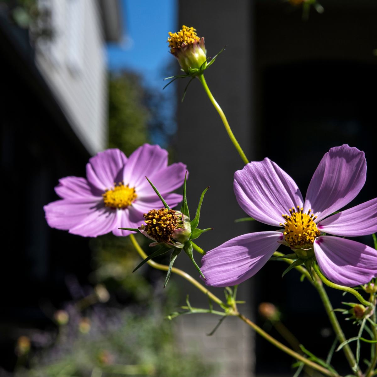 PASSION — photograph 17
