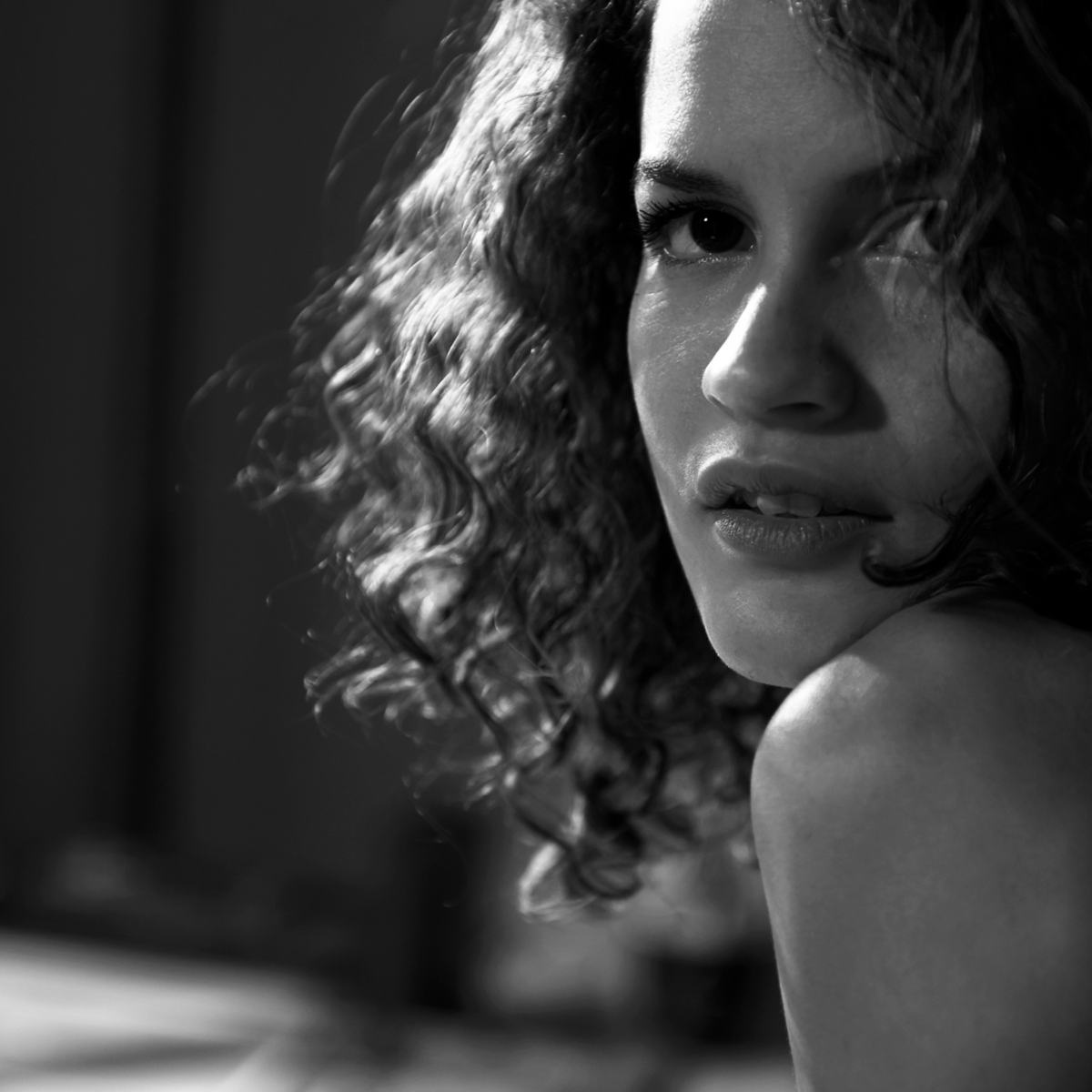 SHADOW LIGHT — photograph 16
